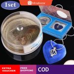 Kalung Mutiara Kerang Asli Wish Pearl Necklace Natural Oyster Pendant Necklace Charm Necklace Gift Box