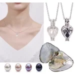 Kalung Mutiara Kerang Asli Wish Pearl Necklace Natural Oyster Pendant Necklace Charm Necklace Gift Box - Image 8